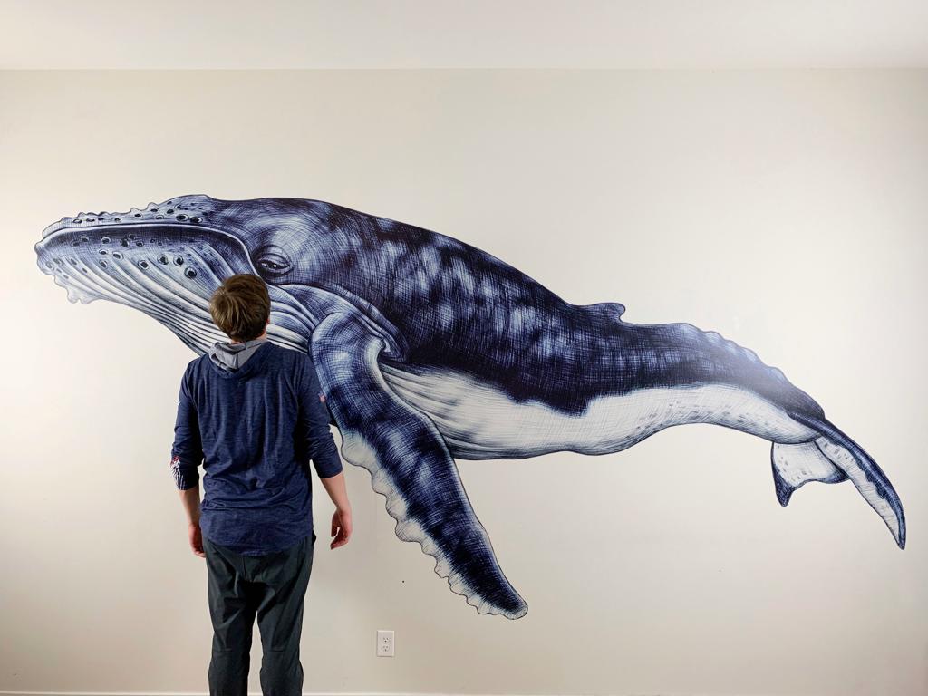North Star Wall Printing | Bringing Walls To Life